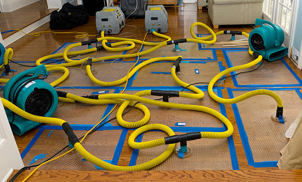 Professional Water Damage Repair technician working in Sanford, ME